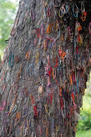 This tree at Choueng Ek was used to murder infants by simply bashing their heads off the tree and tossing the bodies into a nearby pit. It is remembered most poignantly by all these little kiddies bracelets.