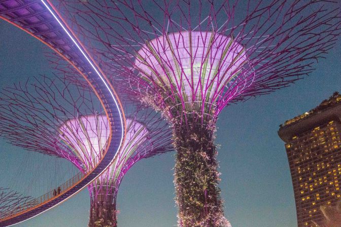 Xmas Lights - Singapore Style!